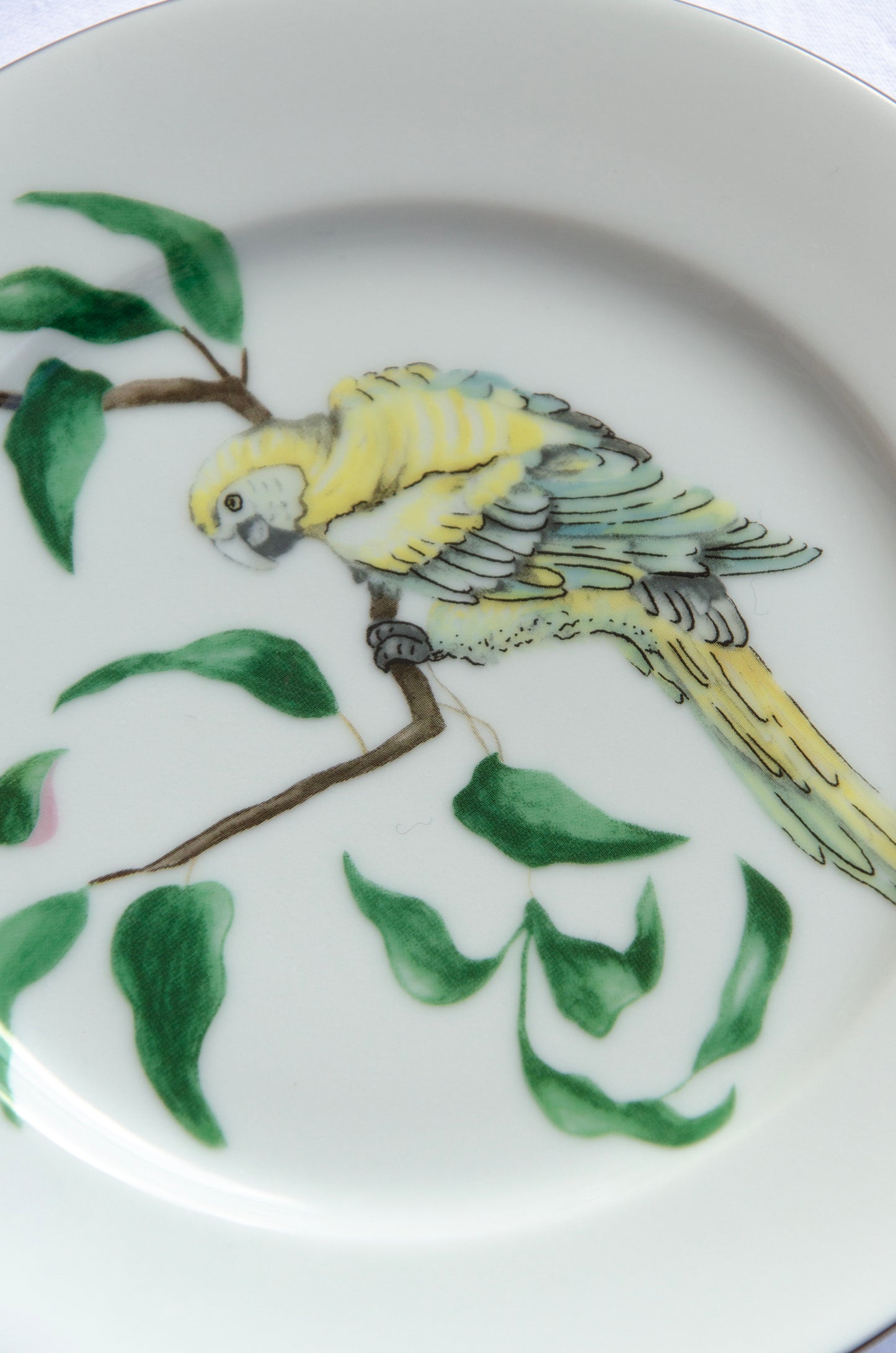 Bread Plate with Parrot – 16,5 cm
