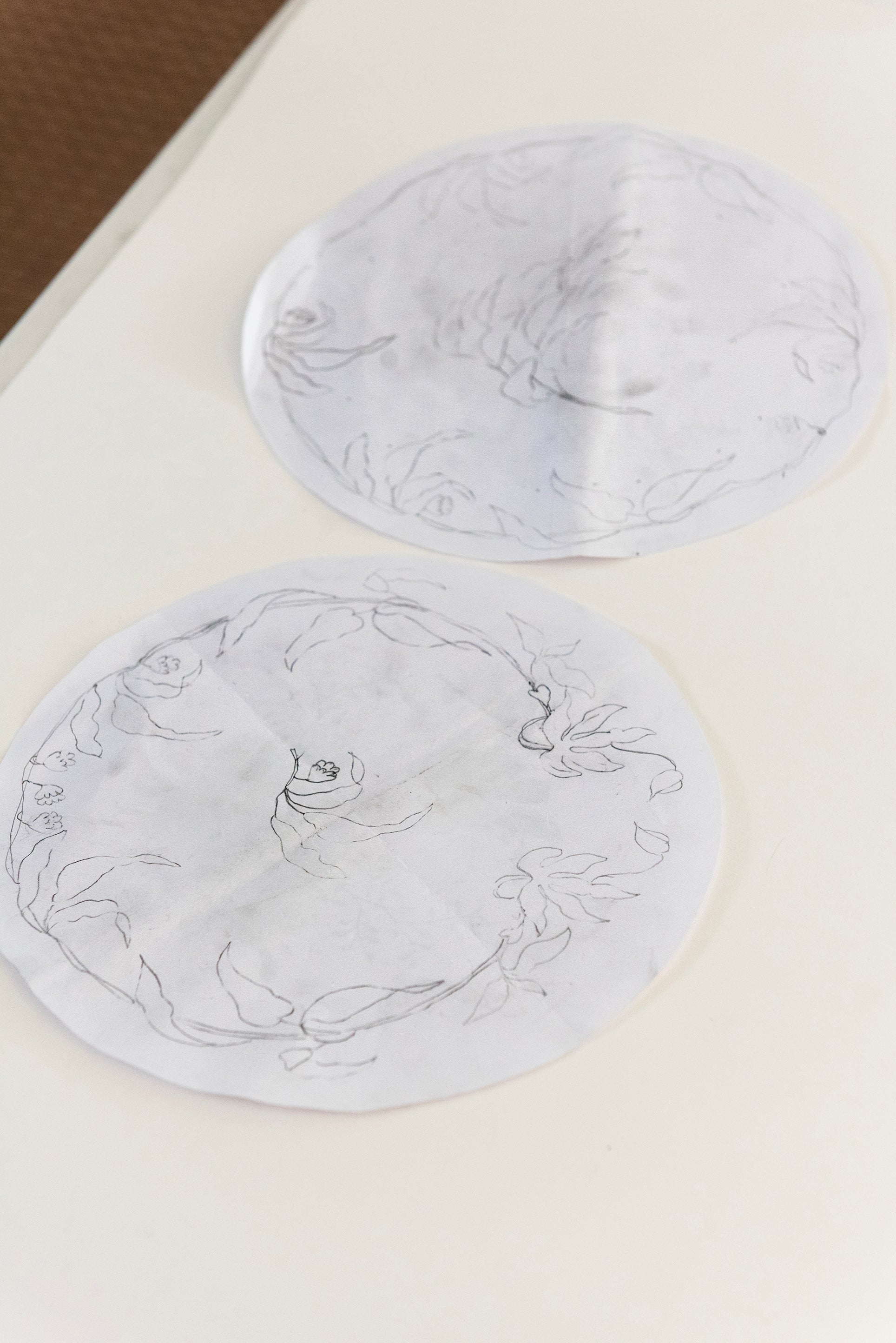Mood image of drawings and sketches, before illustrating plates with plants and animals